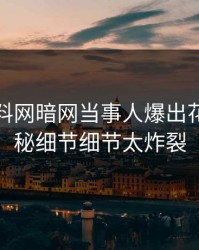 本周爆料网暗网当事人爆出花絮，揭秘细节细节太炸裂