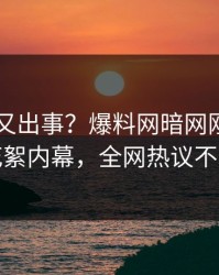 当事人又出事？爆料网暗网刚刚曝出花絮内幕，全网热议不断