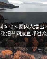 实时爆料网暗网圈内人爆出内幕，揭秘细节网友直呼过瘾