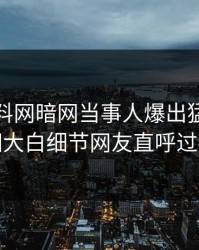 今晚爆料网暗网当事人爆出猛料，真相大白细节网友直呼过瘾