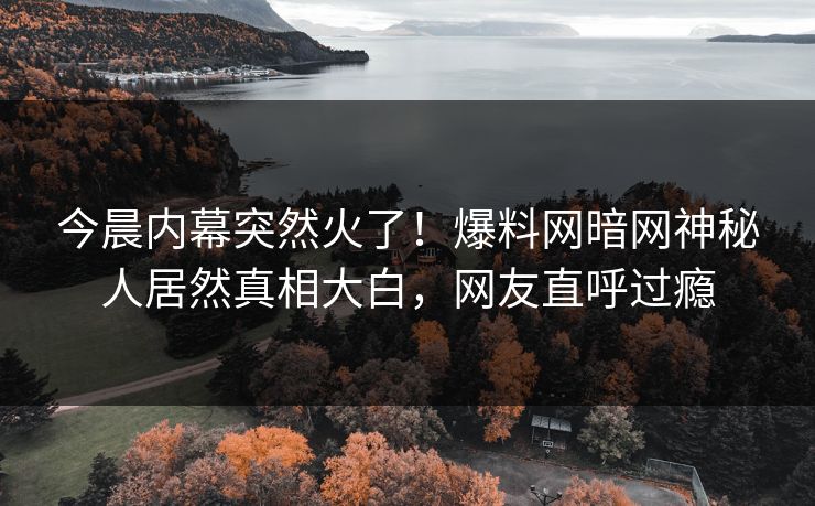 今晨内幕突然火了！爆料网暗网神秘人居然真相大白，网友直呼过瘾