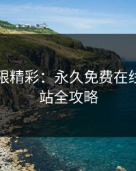 解锁无限精彩：永久免费在线观看网站全攻略