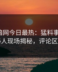 爆料网暗网今日最热：猛料事件曝光，神秘人现场揭秘，评论区炸了