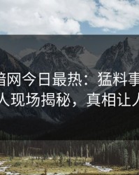 爆料网暗网今日最热：猛料事件曝光，神秘人现场揭秘，真相让人瞠目
