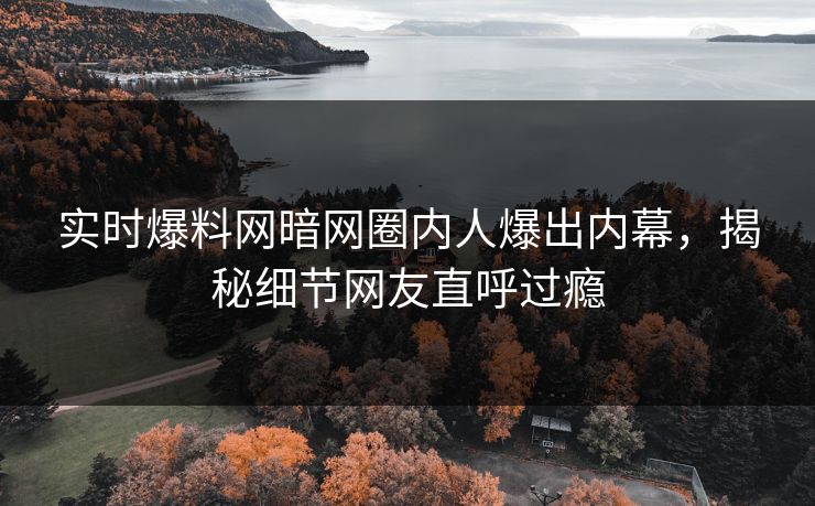 实时爆料网暗网圈内人爆出内幕，揭秘细节网友直呼过瘾